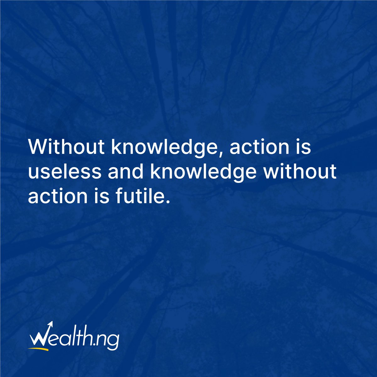 WealthNG's tweet photo. Get knowledge when you need it and when you've found knowledge, act on it!
Bottom line? Defeat procrastination and become proactive.
#WealthQuotes #WealthIsKnowledge https://t.co/ACtVJ7MVzB