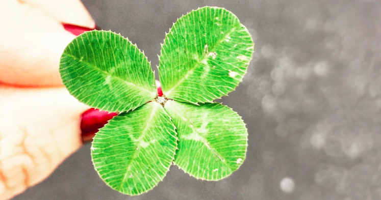 Windermere_SP's tweet photo. Take a look at some of our favorite St. Patrick’s Day events happening this weekend, from kid-friendly cruises to beer-centric Irish parties. 9 Essential St. Patrick’s Day Events in #Sacramento: https://t.co/9xnLKC7Gnn   #SacramentoEvents #OldSacramento https://t.co/zocqzoWple
