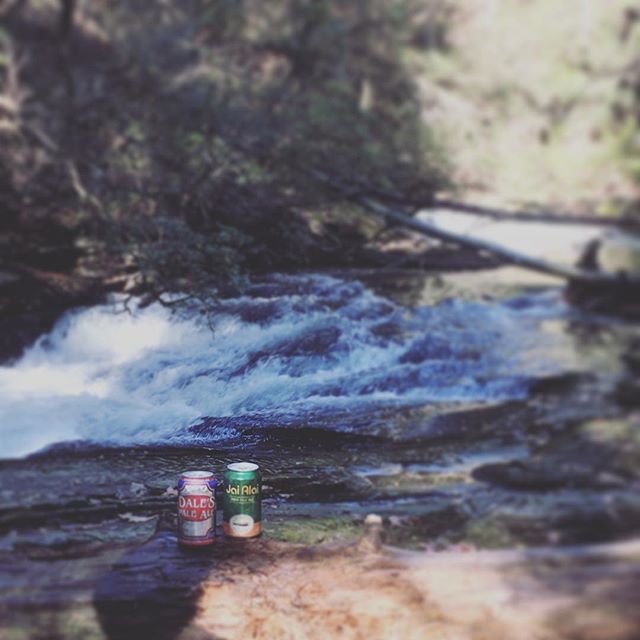 OskarBluesTN's tweet photo. Git FuhCAN outside and enjoy the Sunshine Tennessee! #oskarblues #cigarcity #canarchy #craftcans #craftbeer #getchyercanoutside #soakupthesun #tennessee #thegreatoutdoors #theblueridgers #dalespaleale #jaialai #liveitup #drinkup #thefreakinweekend https://t.co/s67iydFV7V https://t.co/qraVWuAHEq