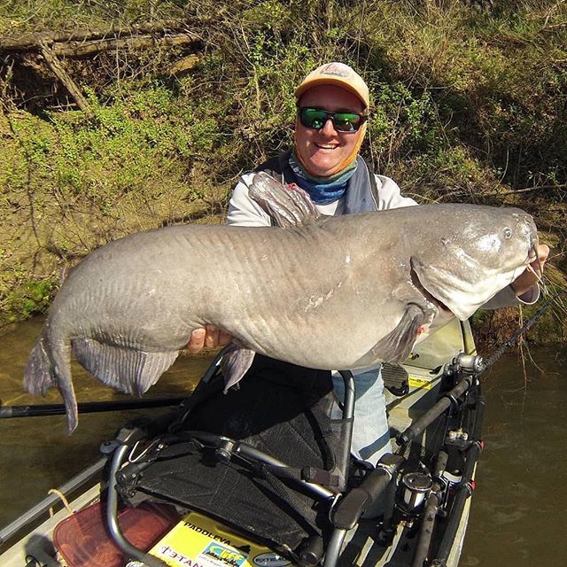 KayakFishMag's tweet image. Some say he’s totally fine with being catfished... 📸: @grantalvis_flyfinatic .
.
.
.
.
.
.
.
#kayaking #paddling #kayakfishing #fishingkayak #kayakfishmag #kayakbassfishing #bassfishing #kayakangler #paddle #fishinghat #thetugisthedrug #findyourwater… ift.tt/2uamy6T