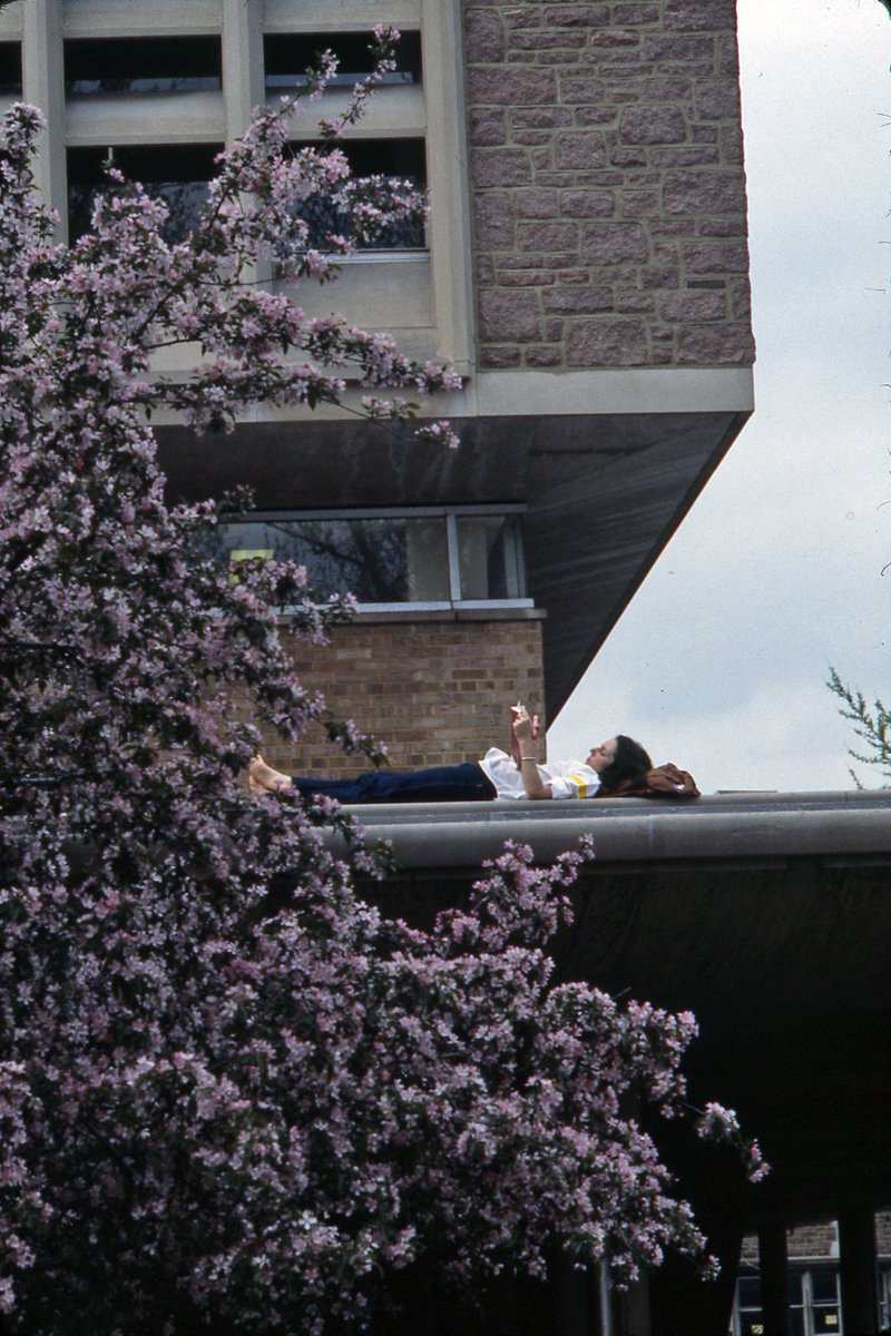 WashULibraries's tweet photo. From the #archives: This is what a study break at Olin Library looked like back in the day... Happy weekend, friends! #WULibraries #WashU https://t.co/zVGn7FD2P9