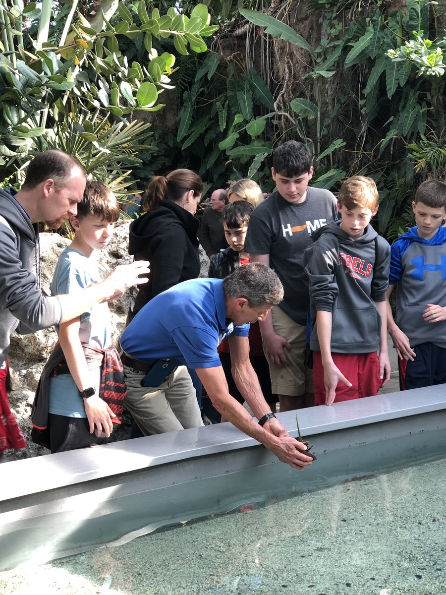 mrsleighmathews's tweet photo. Another successful 7th grade field trip to Chattanooga today 🐠 🦈 🐡 #lp7th https://t.co/fpplPR82iT