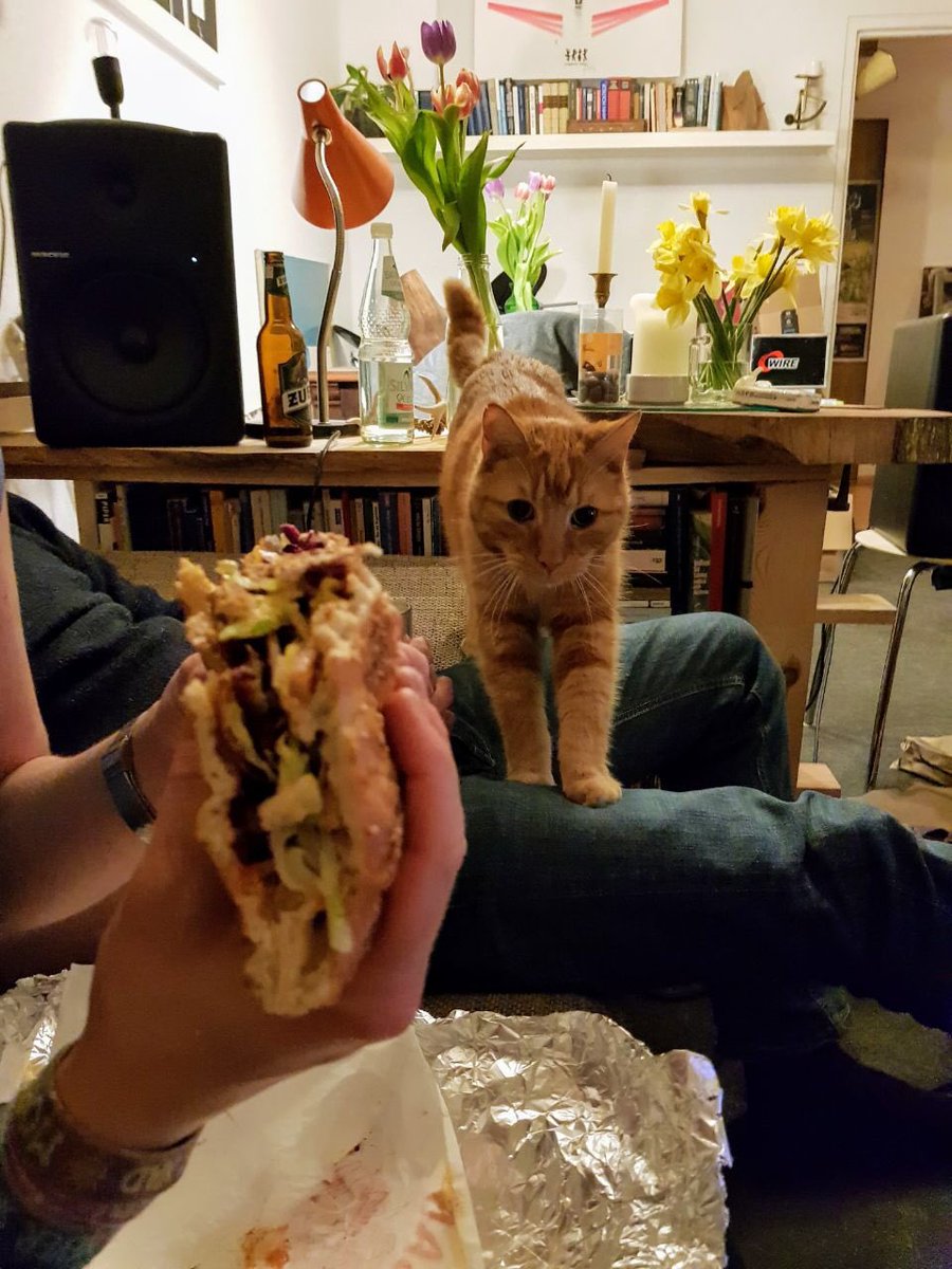 <a href="/yoga_and_more/">Jörg Rainer</a> Oder Döner😂 nicht meiner, ich hatte Salat 🥗 aber mein „Garfield“ Shiva ❤️😍Er liebt aber auch meine Kürbissuppe und und und...