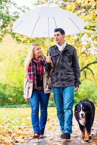 Safety Tips for Walking Your Dog in the Rain 5pointsanimalhospital.net/safety-tips-fo…