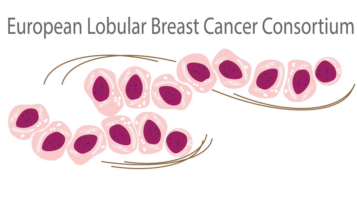 Patrick WB Derksen tweet media