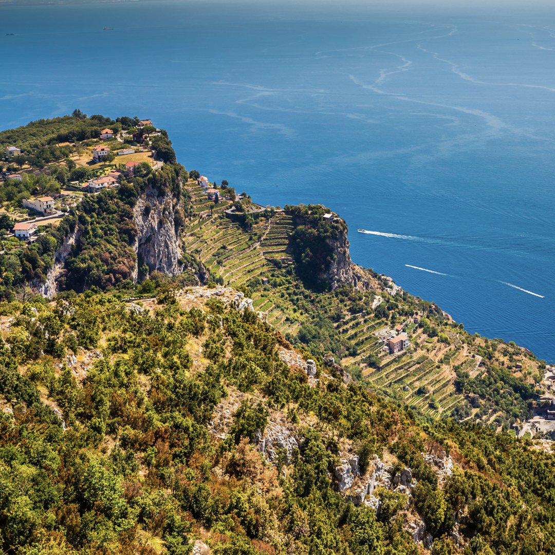 Today, Italy’s wine culture is more vibrant than ever. There is a greater diversity of grapevines grown in Italian soil than anywhere else in the world. 

Do you have a favorite Italian wine? Let us know in the comments! #TasteThePassion

Photo © Zdenek Matyas/123rf.com