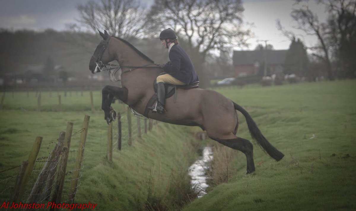 AlJohnstonphoto's tweet photo. Closing meet of the Cheshire Drag Hunt based in Cheshire England, with excellent numbers in the mounted field and some good quality hedges and ditches @horseandhound @hunting_ca @KeepHuntingUK https://t.co/FX4HJZYDup