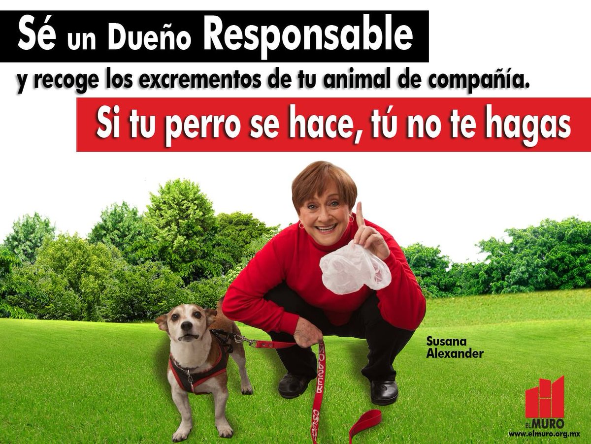 similia_hom's tweet photo. La recomendación de @ElMuro_AC: seamos resposables en el cuidado de nuestros animales de compañía 🐶 https://t.co/NLkARTcZ6K