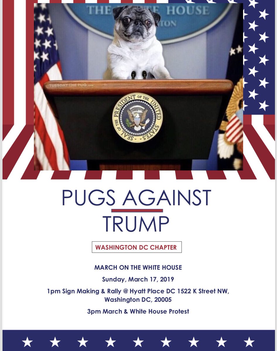 LadyPuggington's tweet photo. Can’t wait to march alongside my other #pug friends this Sunday. 🐶 Who else is planning to join #PugsAgainstTrump?

1PM: Sign making and rally at Hyatt Place #WashingtonDC

3PM: March on the White House https://t.co/3jUIO9MFaK