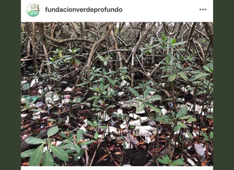 Here’s why we need to reduce our single-use plastic - it never goes away!