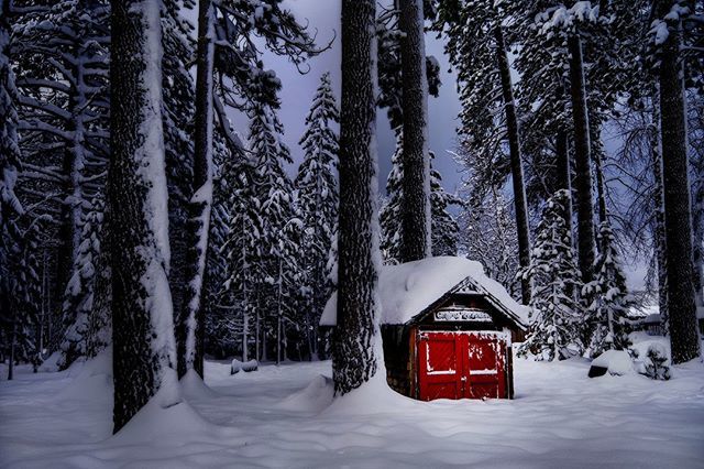 karenhutton's tweet photo. LITTLE RED
Sometimes she felt out of place. But mostly she trusted that she had fire in her heart for some good reason.
@smugmug @flickr @fujifilmx_us #fujifilmx_us #lovesnow #magicalsnow #trees_magic #snowart #snowartist #artsnow #laketahoe @… https://t.co/YiFBvb2p6F https://t.co/ji0ZgZ1s9L