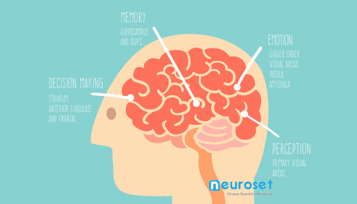 NeurosetIT's tweet photo. A quanto pare, anche se mancano ancora due settimane intere, il workshop che terremo a Padova allo Smau è già quasi "tutto esaurito" 😲 https://t.co/XX68clP6Ds #neuromarketing #neuromarketingacademy #neuroset https://t.co/vaAzDlK4Xt