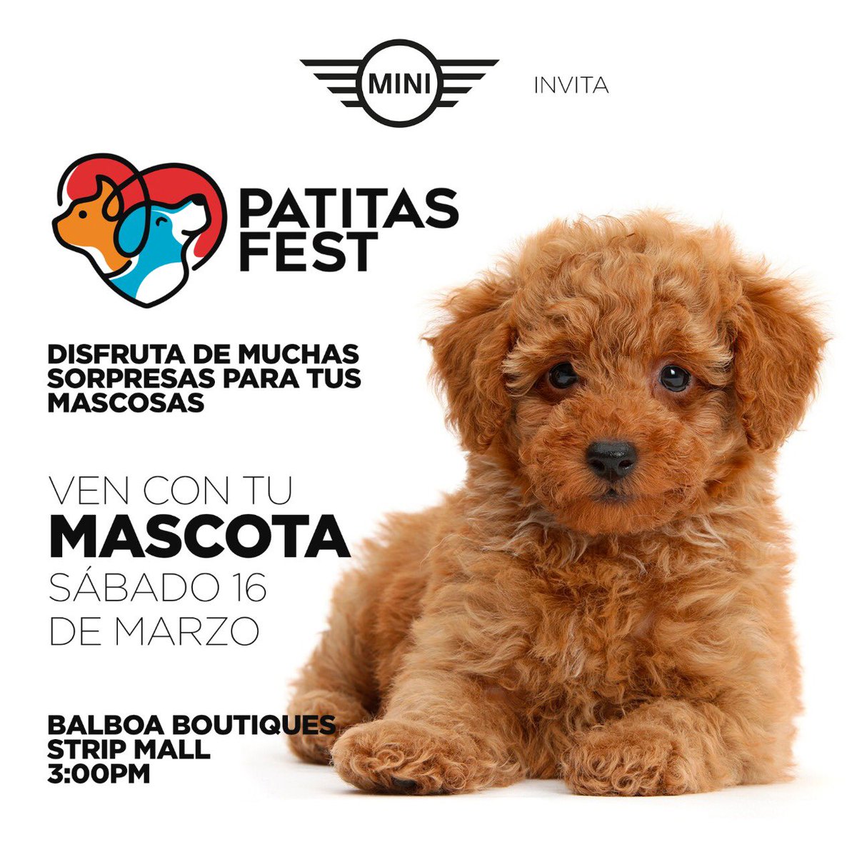 PetsWorldMag's tweet photo. Estás cordialmente invitado al Patitas Fest en las instalaciones del C. C Balboa Boutiques, en la avenida Balboa, mañana sábado 16 de marzo, a partir de las 3:00 pm hasta las 8:00 pm, en donde tendremos diferentes actividades para los más peludos de la casa.

#PetsWorldMagazine https://t.co/Op0WnGaq9h