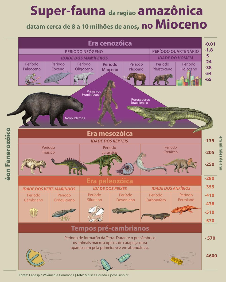 Há 10 milhões de anos, o Acre era habitado por ratos pré-históricos do  tamanho de humanos