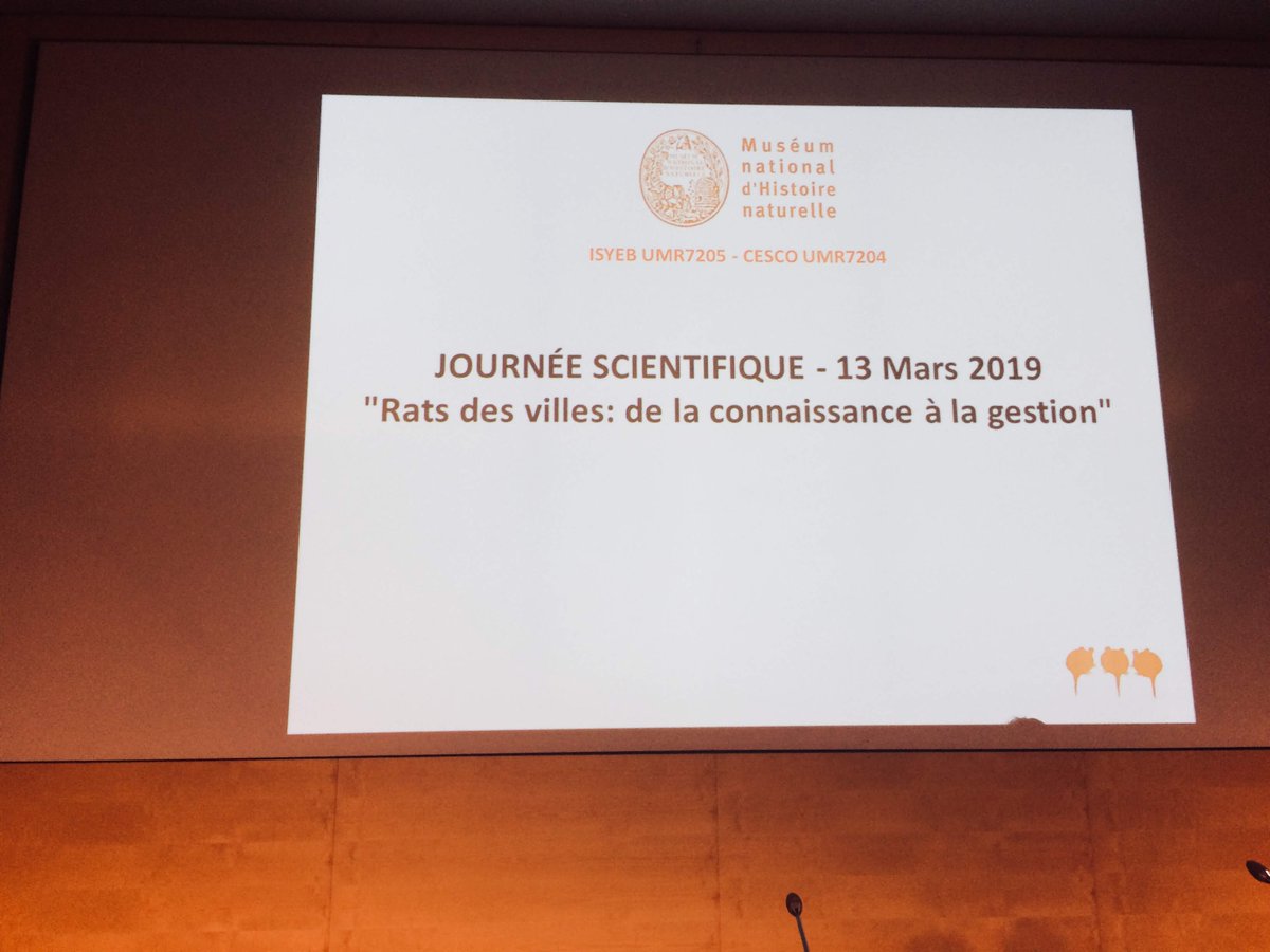 AudeLalis's tweet photo. #RatsParisiens #journeescientifique @ISYEB_UMR #MNHN #ISYEB https://t.co/cvpIt3B18R