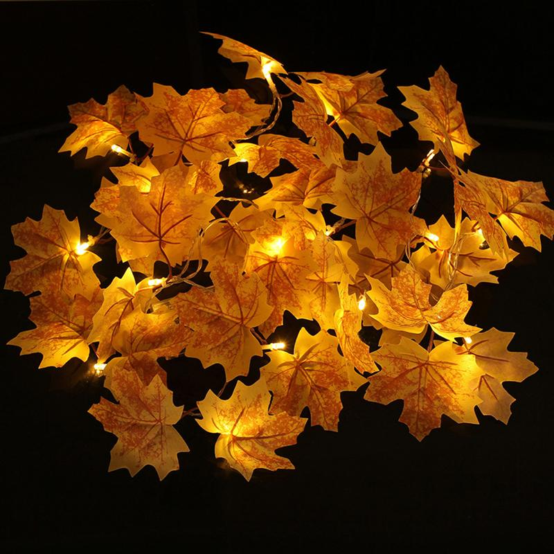homeandgardeng1's tweet image. Maple Leaf Design Waterproof LED Fairy Lights

bit.ly/2JdXdTK

#mapleleafdesign
#homedesign
#homedecor
#homeandgardengoods