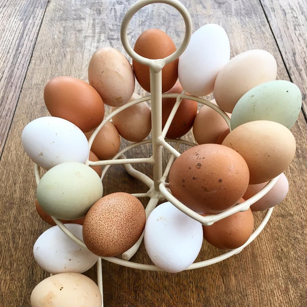 HenCorner's tweet photo. We have so many eggs at the moment!
£2.50/box of six (mixed colours &amp; sizes) available from our Bakery on Friday...
#HugAHen #UrbanHens #KeepingChickens #ChickensOfInstagram… https://t.co/nlHntq1mVQ https://t.co/vudu0f9xxQ