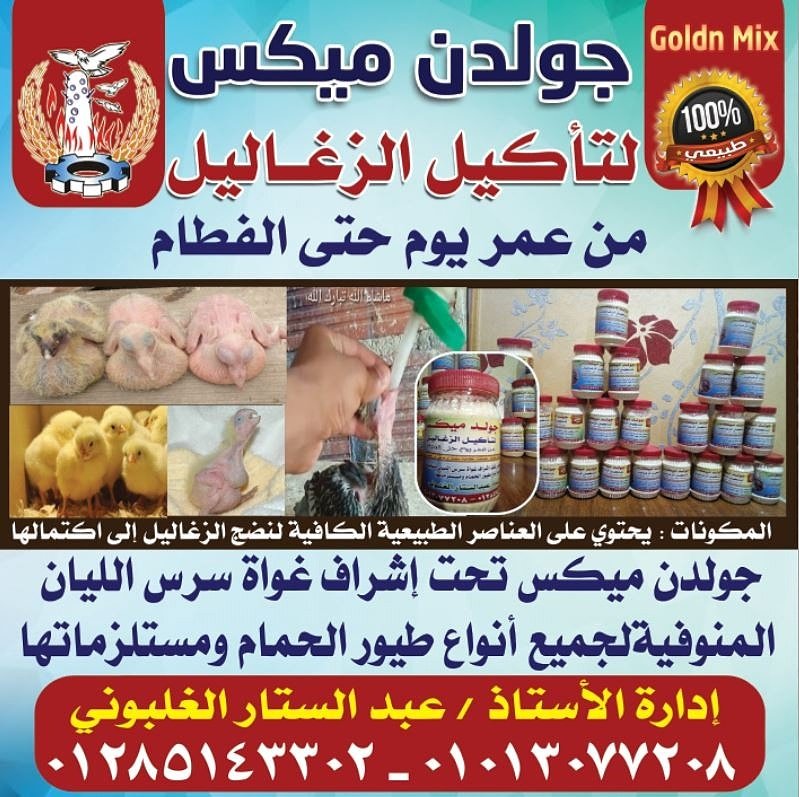 عبدالستار الغلبونى Ahmedah13262424 Twitter