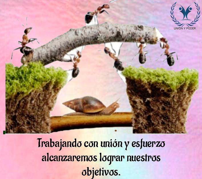 Sociedad de Esfuerzo y Poder tweet media