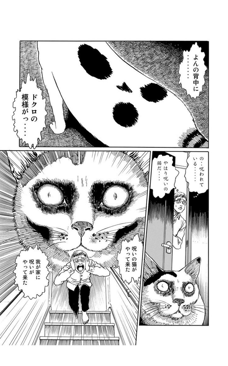 もっさりブリーフ ひとだ Mossariburiifu0 さんの漫画 1作目 ツイコミ 仮 もっさりブリーフ ひとだ Mossariburiifu0 さんの漫画 1作目 ツイコミ 仮