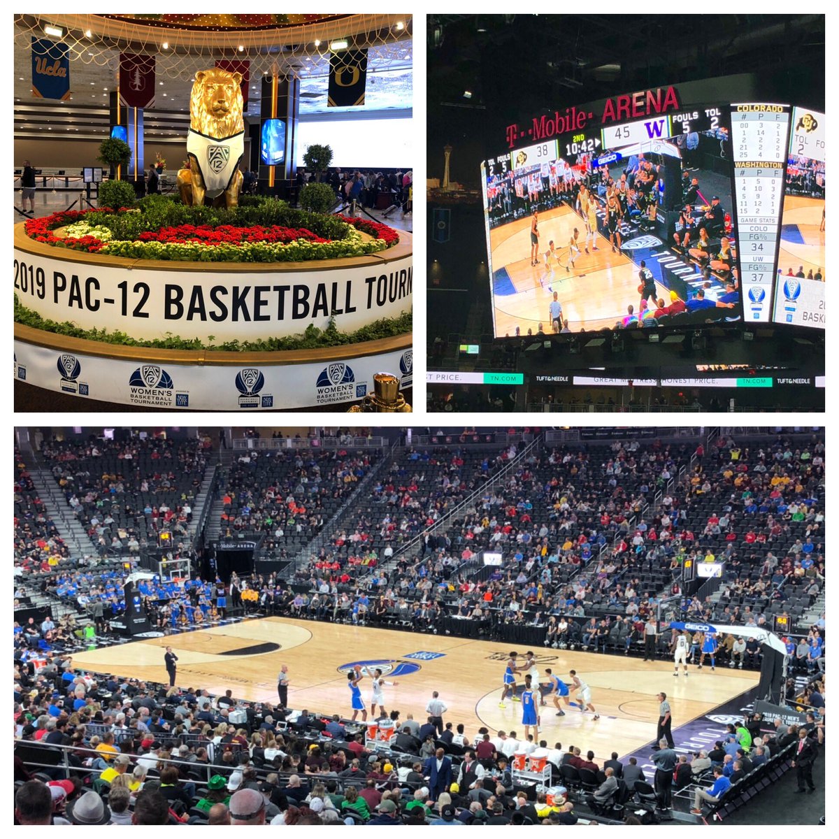 VBruno17's tweet image. Business trip to Vegas for an all #TeamFastModel @pac12 semifinals! #ChampionsUseFastModel