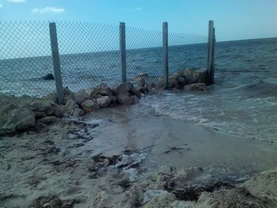 Посмотреть изображение в Твиттере