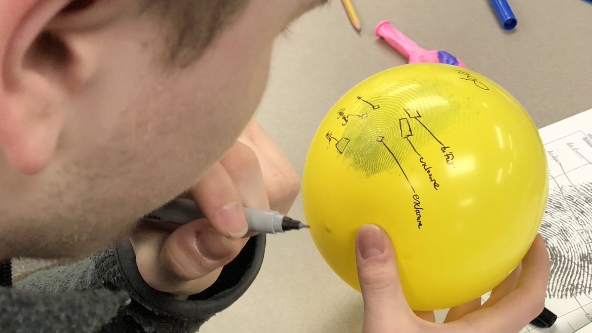 PulaskiChem's tweet photo. Labeling enlarged fingerprints on balloons. PHS Forensic students im”printing” their knowledge today! #Raiderstrong https://t.co/1dQPoDSqIc