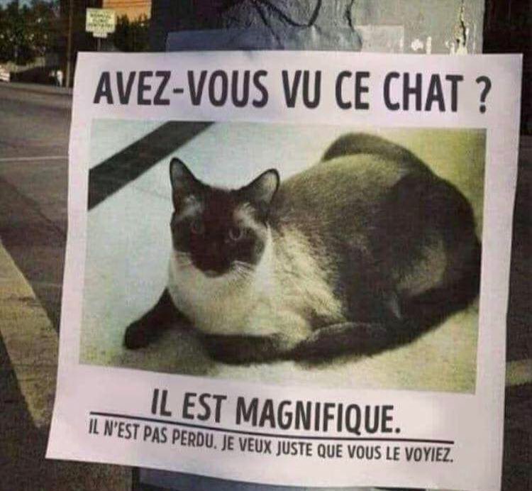 Francois Beclin Bon Week End A Tous T Co Dzbie25xff Francois Beclin Bon Week End A Tous T Co Dzbie25xff