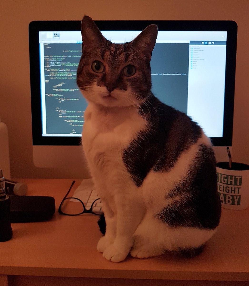 cheznie's tweet image. It&apos;s ok Twix, you sit and relax. Not like I have work to do or anything... (I know it&apos;s not indented properly...) #CodingWithCats #NewMac