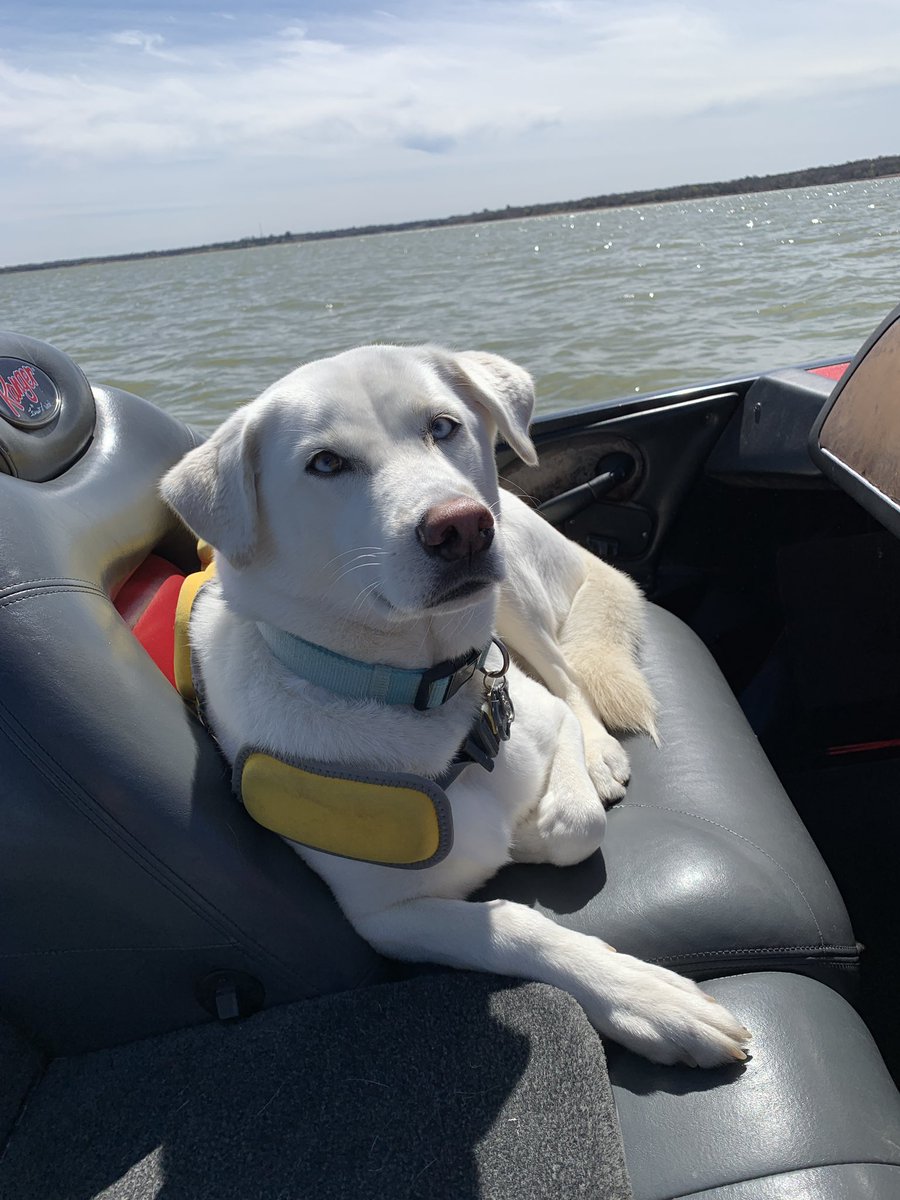 OberkromKicking's tweet photo. My favorite fishing partner lol https://t.co/97Ix03bPYB