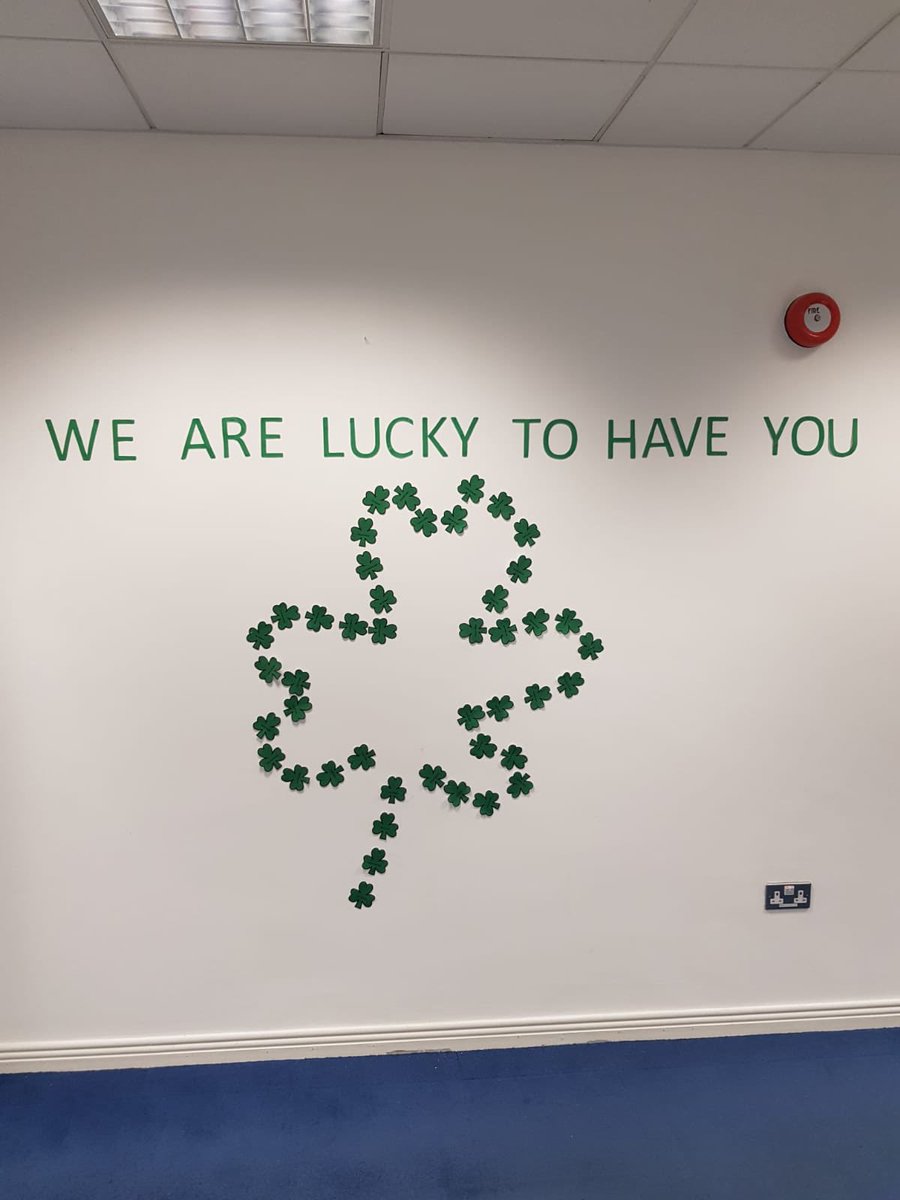 Slainte back at ya - The office was fully kitted out today!