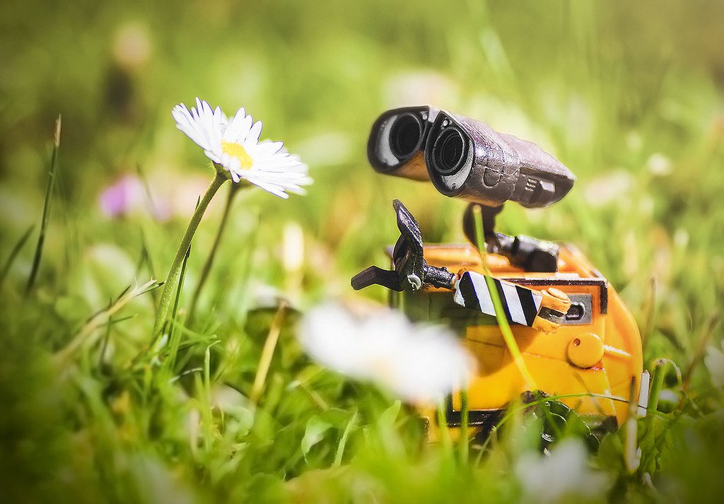 Happy Spring Break!!