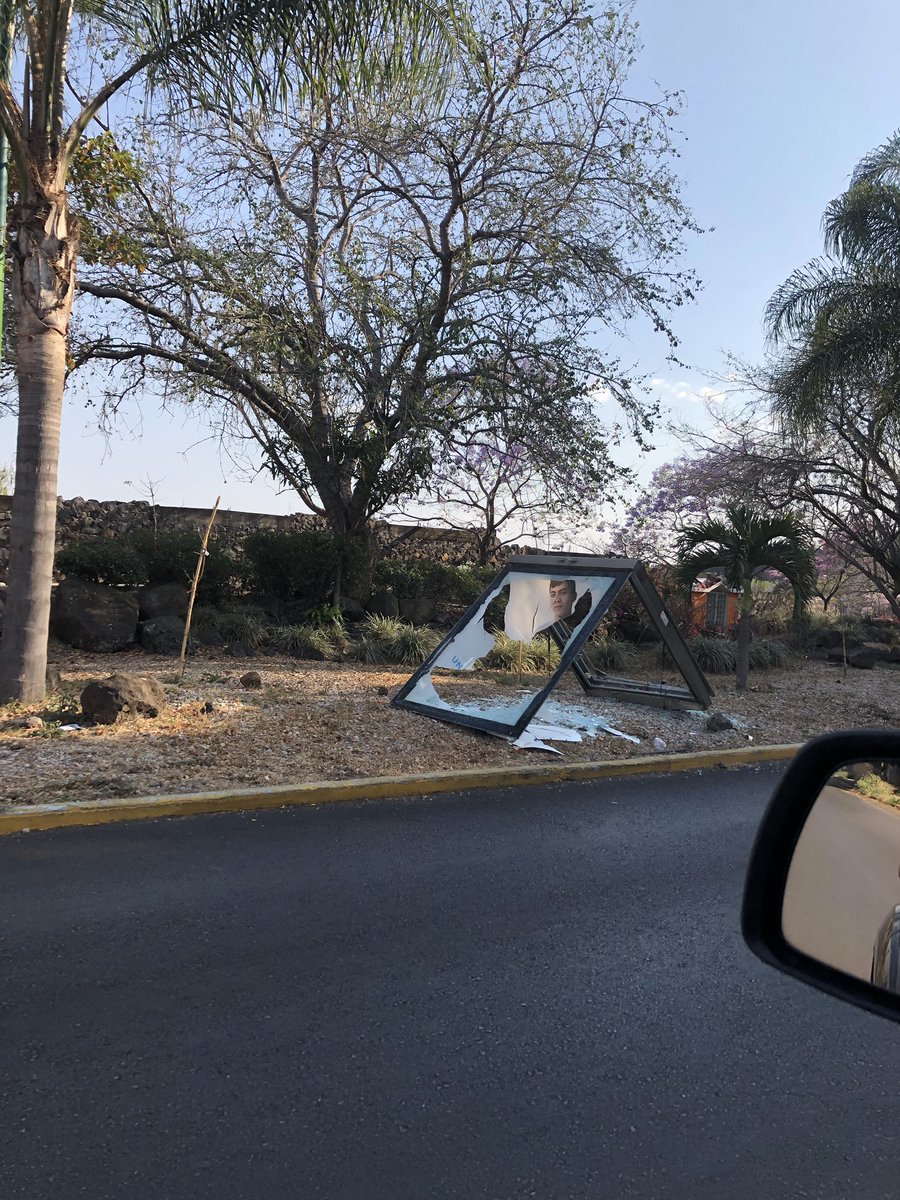 Ines Masallach tweet media