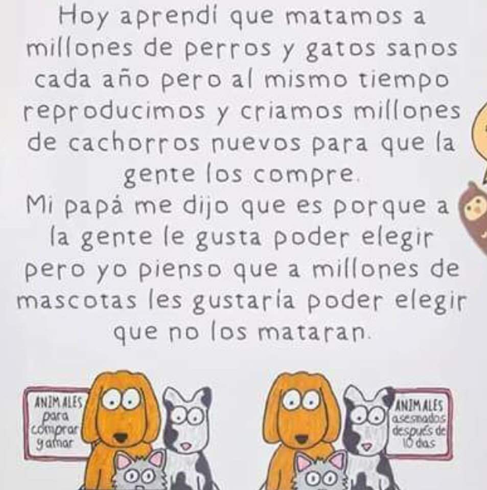 por_perros's tweet photo. Una reflexión muy importante sobre perros y gatos: https://t.co/VkaYXF0wO1
