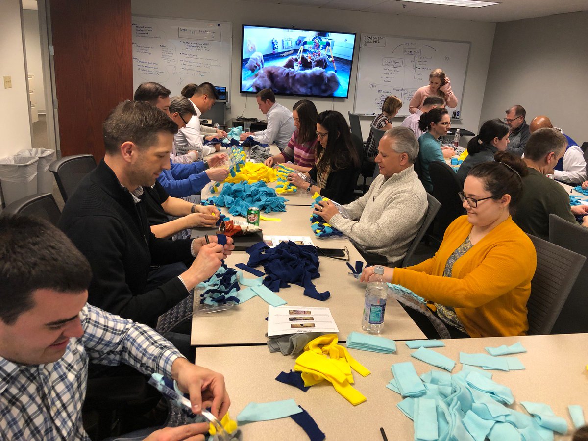IPMCinc's tweet photo. For this quarter’s #IntegratedProjectMercy initiative, our Chicago office made snuffle mats for new puppy trainees at Rainbow Animal Assisted Therapy. #RainbowAAT #serviceanimals https://t.co/YXKMK7Z5Ck