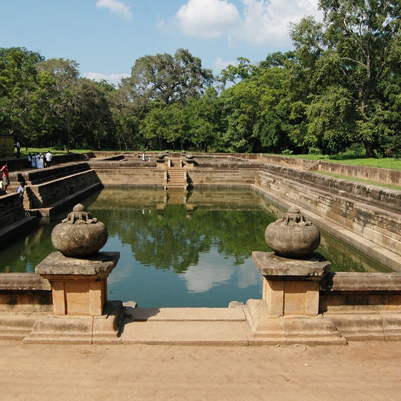 WalkInSriLanka's tweet photo. #Anuradhapura is one of the ancient capitals of #Sri #Lanka
famous for its well-preserved ruins of an #ancient #Sri #Lankan #civilization and also now a #world #Heritage site.
#Jaya #Sri #Maha #Bodhi #Ruwanwelisaya #Thuparamaya #Lovamahapaya #Abhayagiri #Dagaba #Jetavanarama https://t.co/YCFzOKrvtJ