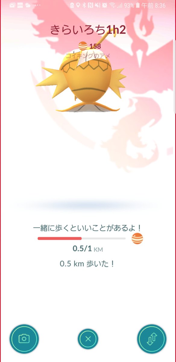 コイキングの巣