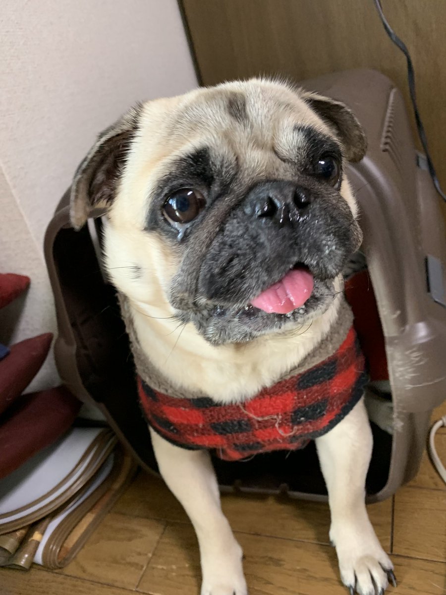 目やに 目やに