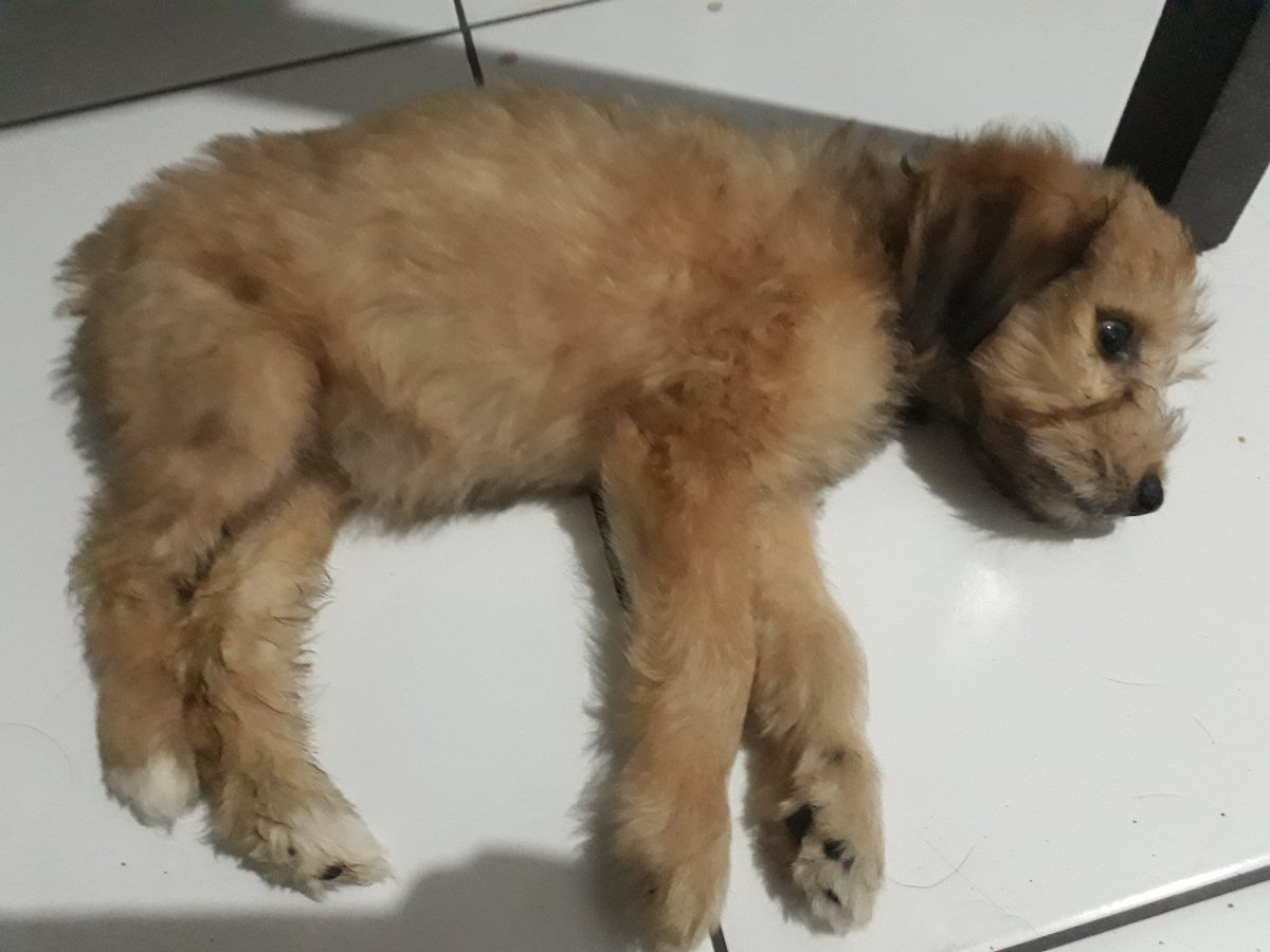 ~ bru ㄴㄴㄱ tweet media