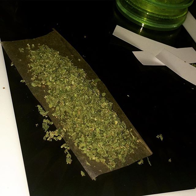 Inakrepis's tweet image. A big slug