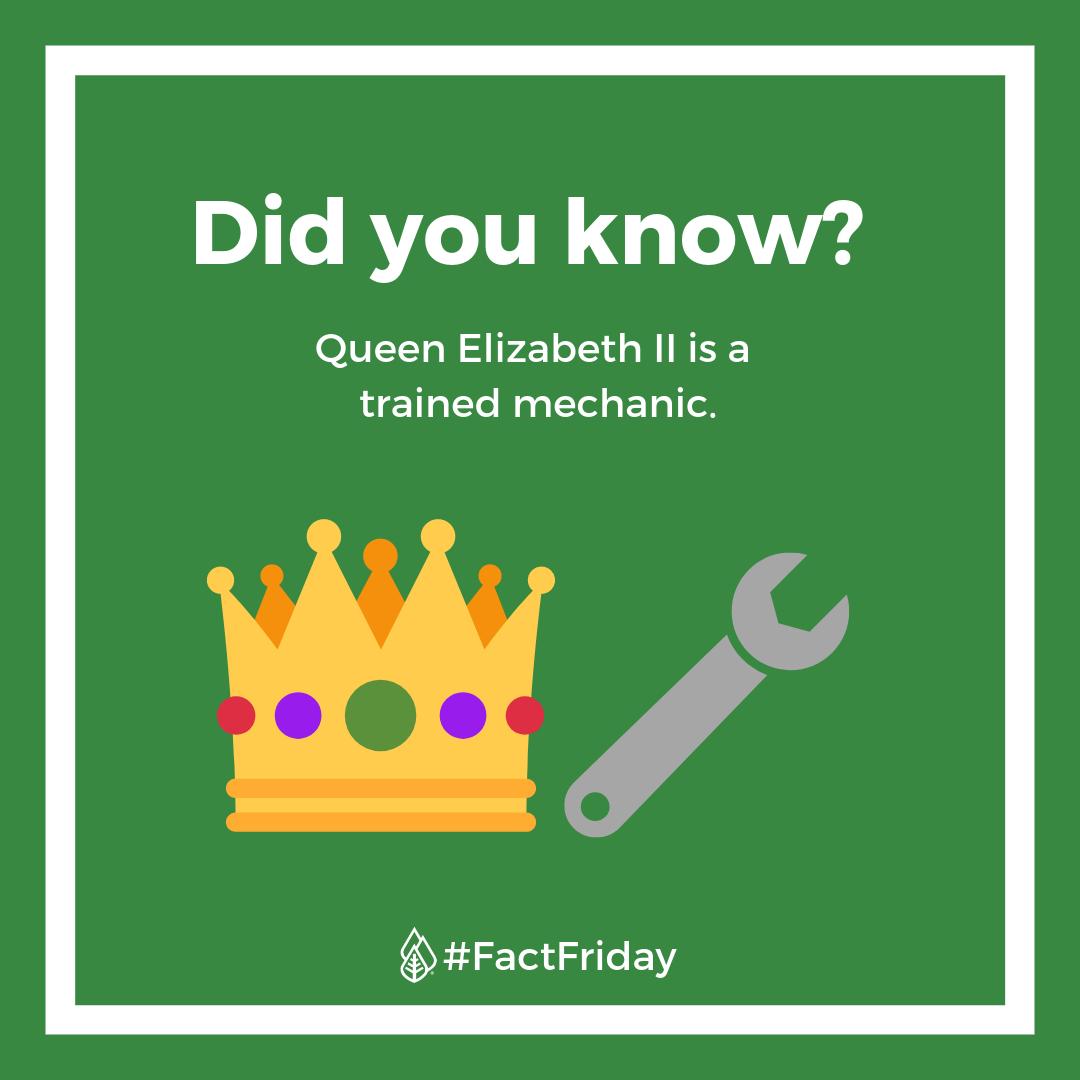 hlctutoringhelps tweet media