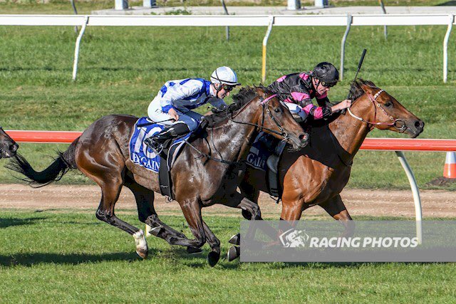 Racing at HQ today 

R5 - 3:15pm - Sacred Theme - C. Williams

Best of luck to all our connections 🤞🏻