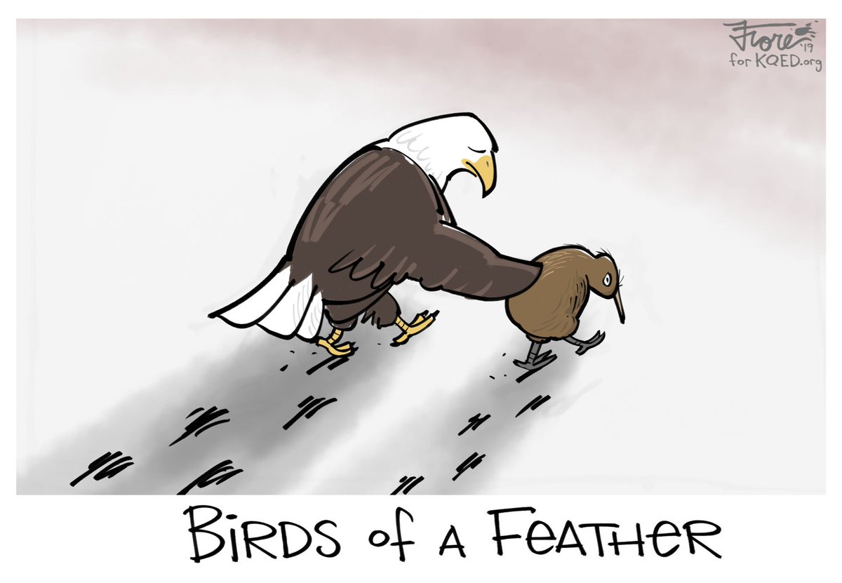 KQED's tweet image. A white nationalist attacked two mosques in New Zealand. Sadly the United States is well-versed in coping with the aftermath of mass shootings at places of worship. bit.ly/2Hzc4FX (@MarkFiore via @KQEDnews)