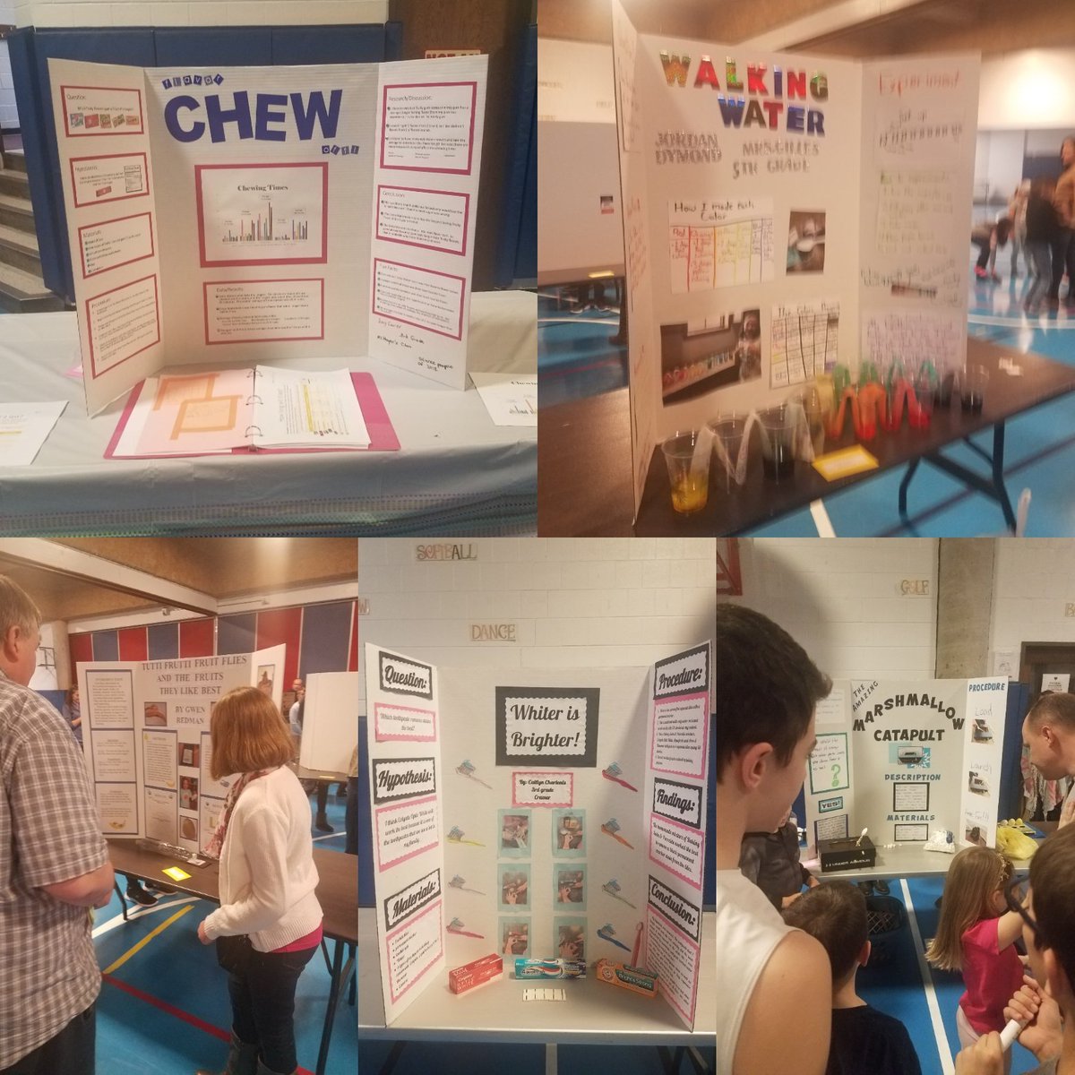 MrsPatete's tweet photo. We had an exciting night at the Science Fair! #inspiresuccesstogether #tvbears #sciencefair https://t.co/S5LeAZkonE