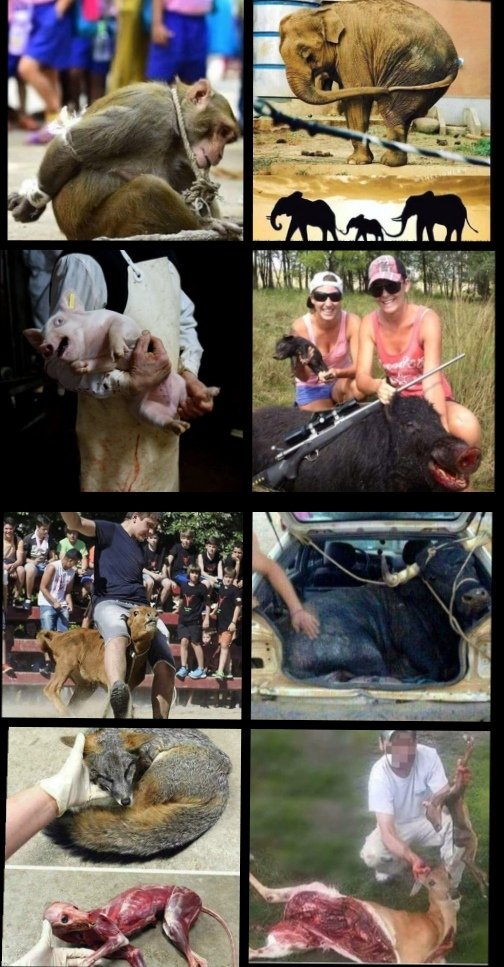 Tano Ros tweet media