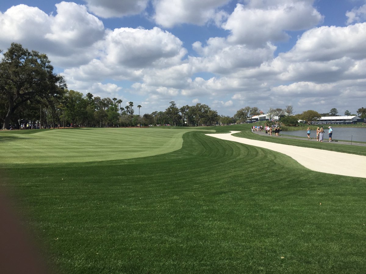 Great scenery at the Players!