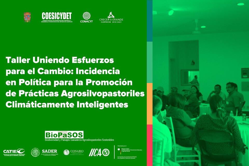 COESICYDET's tweet photo. Se llevó a cabo el taller "Uniendo Esfuerzos para el Cambio: Incidencia en Política para la Promoción de Prácticas Agrosilvopastoriles Climáticamente Inteligentes" en el COESICYDET, impartido por la Dra. Ileana Ávalos, especialista en la toma de decisión (BioPaSOS) @CATIEOficial. https://t.co/DwDCtQdygJ