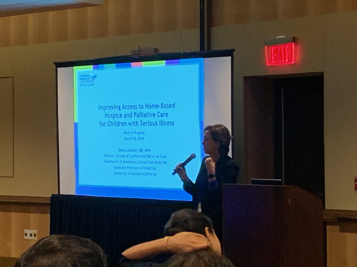 RThienprayoon's tweet photo. The fabulous @debra_lotstein presenting her work in #hbhpc access, funded by @Cambia Sojourns Scholars. She’s awesome. #hpm19 https://t.co/Lr5nuqoOfL