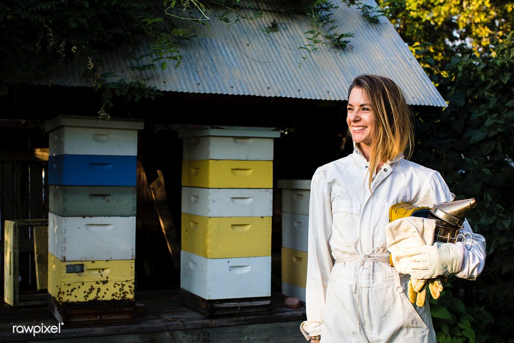 byrawpixel's tweet photo. I like pulling on a baggy bee suit, forgetting myself and getting as close to the bees' lives as they will let me, remembering in the process that there is more to life than the merely human. ― Sue Hubbell
📷 by @thesimplejoysof https://t.co/xsLKUA6OPV