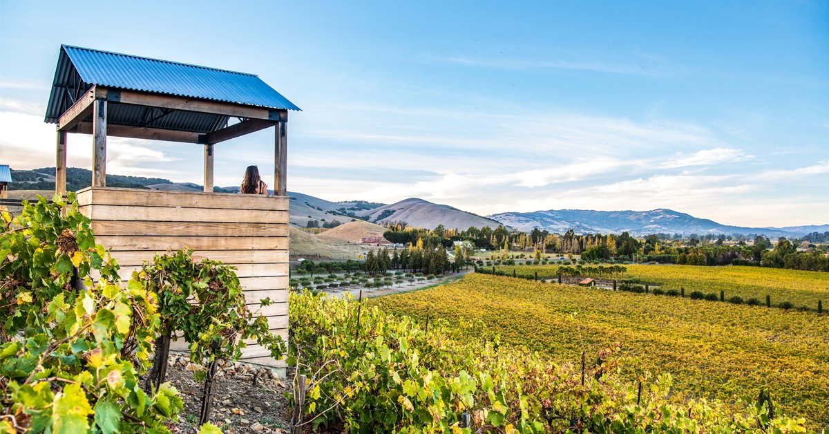Our happy place. Come on over and savor these Sonoma views with us this weekend! #weekendwarrior #winecountry